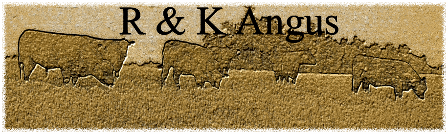 R&K Angus